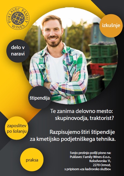 Brez naslova
