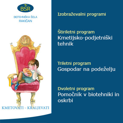 Spletna stran programi