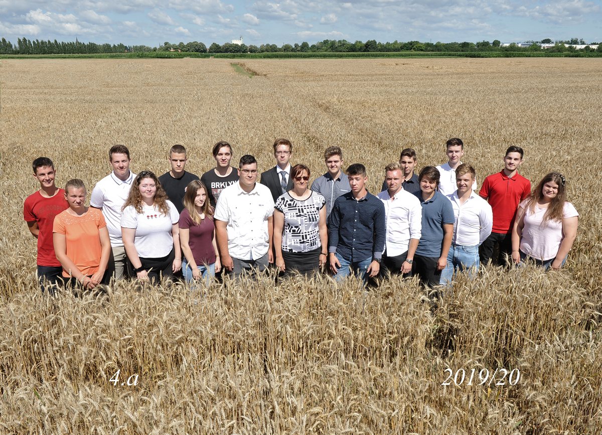 biotehniska skupinska 2020 julij